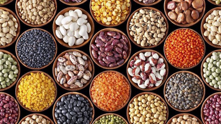 Pulses & Oilseeds Export service